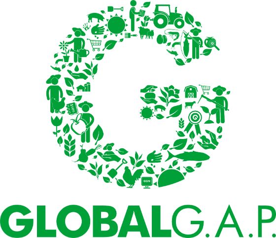 G_Logo_green_RGB_web.jpg